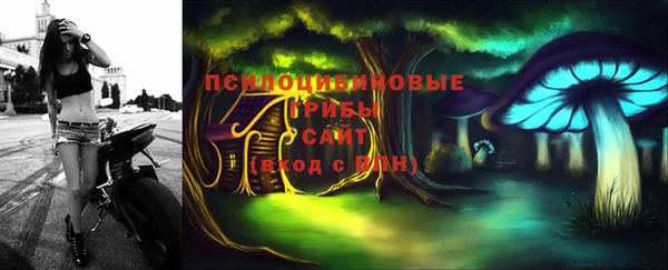 ешки Лиски